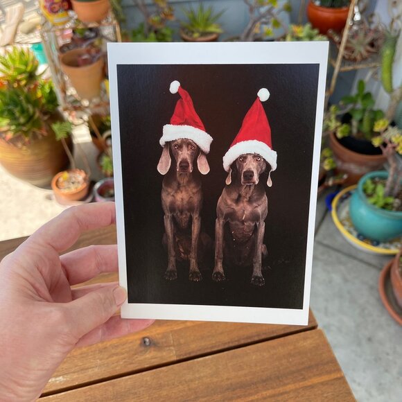 VINTAGE 90s 🐶 WILLIAM WEGMAN WEIMARANER DOG FOTOFOLIO CHRISTMAS CARD . 1995 XMAS - Picture 2 of 8
